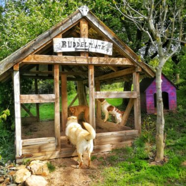 Ferienhaus, Urlaub mit Hund, Ferienwohnung, Urlaub, Pension