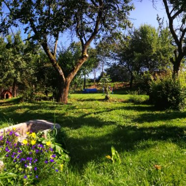 Ferienhaus, Urlaub mit Hund, Ferienwohnung, Urlaub, Pension